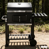 Gril BBQ Commercial en Acier Inoxydable pour Fruits et Thé, Gril à Charbon Santa Maria en Céramique