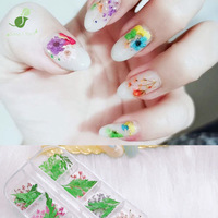 Fleurs séchées pour nail art, style japonais et français, été, brillantes, fines, paillettes 3D, gypsophile, grandes fleurs, 12 couleurs, petites marguerites, feuilles vertes