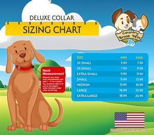 Country Brook Petz Collar de perro hecho en América para perros grandes, medianos, pequeños y cachorros-Nylon resistente de lujo en 33 deslumbrantes - Product Image 4