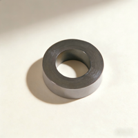 Núcleo Toroidal Resistente a la Corrosión, Acero al Silicio Especial para Equipos de Ingeniería Marina y Energía en Exteriores