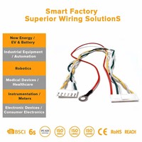 Kabel Tembaga Terputus dan Kabel Harness Selubung Nilon Fleksibel untuk Peralatan Penanganan Material Komputer dan Sepeda Motor