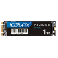 الأكثر مبيعًا M.2 NGFF SSD io GB-2 وضع ثنائي السرعة للكمبيوتر المحمول/الكمبيوتر/الصناعي CE/FCC معتمد بالجملة من OEM