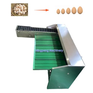 Máquina clasificadora y clasificadora de huevos de la marca NP, máquina clasificadora y clasificadora de huevos - Product Image 6