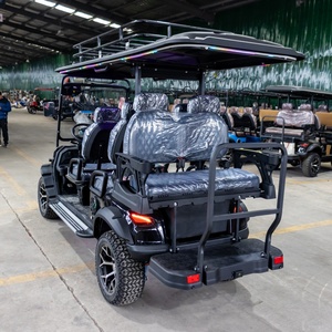 Carrito de <span class=keywords><strong>Golf</strong></span> Eléctrico en Oferta, Batería para Carrito de <span class=keywords><strong>Golf</strong></span> y Mini Buggy, <span class=keywords><strong>Precio</strong></span> Económico, 6 Asientos - Product Image 5