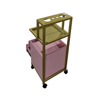 Chariot de Salon de Beauté de Luxe en Acier Inoxydable Plaqué Or, Chariot de Spa Durable avec Roues