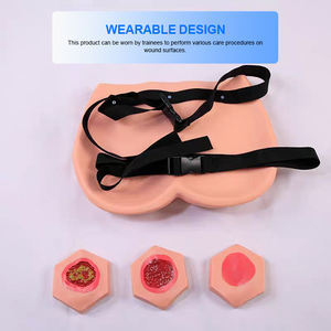 ADA-H10B PVC <b>Medical</b> Science Training Nursing Manikin Stage of Pressure Ulcers Teaching <b>Model</b> Easy to Replace - Product Image 3