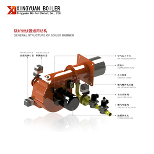<span class=keywords><strong>Générateur</strong></span> de vapeur à eau chaude horizontal industriel Xingyuan, alimenté au gaz ou au diesel, pour rizerie - Product Image 5
