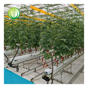 Méthode de culture de gouttière en PVC Jiapei pour les légumes fruitiers tomates, concombres et poivrons - Product Image 1