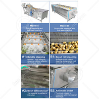 Oceaan Industriële Aardappel Borstelwasmachine Apparatuur Trommel Fruit Wortel Plantaardige Wortel Wassen Palm Dadelreinigingsmachine