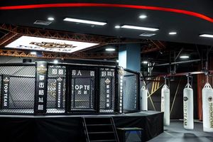 Kişiselleştirilmiş boks spor mücadele kulübü ekipmanları kafes mücadele - Product Image 2