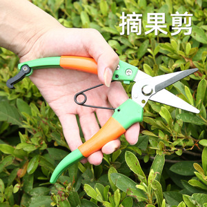 Green-handled Long Straight-tipped Fruit Picking Shears Stainless Steel Blade For Oranges Vegetables Grapes Gardening Pruning - Product Image 2