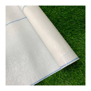 Haute qualité PP matériel tissé Membrane PE couvre-sol maille tapis de mauvaises herbes rouleau <span class=keywords><strong>Anti</strong></span>-<span class=keywords><strong>herbe</strong></span> contrôle des mauvaises herbes tissu bloqueur paillis <span class=keywords><strong>Film</strong></span> - Product Image 2