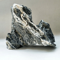 Pierre de dragon, micro-paysage, pierre de paysagisme, roche pour aquarium, rocaille, pierre de paysagisme pour aquarium, pierre Seiryu, aquarium