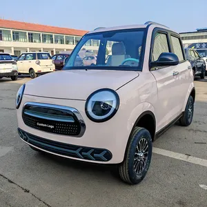2024 New Type Cheap Small Capacity Mini EV ChuangRuiSi Updated Version Custom Mini Electric Vehicle For Adult