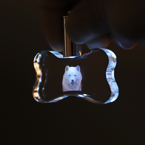 Petit pont, vente en gros, personnalisation, porte-clés en cristal LED en forme d'os 3D, pour cadeaux souvenirs - Product Image 5