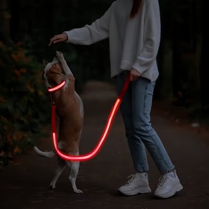 Tùy Chỉnh LED Ánh Sáng Lên Con Chó Dây Xích Sáng Dây Dẫn Dây Xích Cho Chó An Toàn Nhấp Nháy Phát Sáng Con Chó Cổ Áo Dây Xích Vật Nuôi Phụ Kiện - Product Image 3