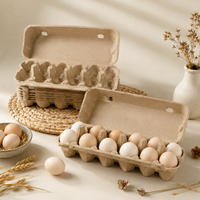 Plateau à œufs en pâte respirante à ventilation améliorée, 2x6, 12 alvéoles, pour l'incubation de volailles, carton à œufs agricole, vente en gros