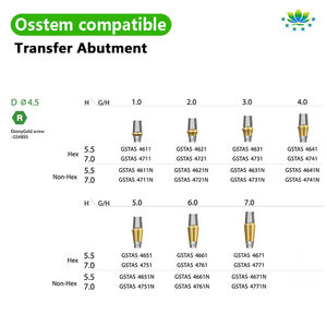 Dual Abutment Transfer Abutment Voor Ostem Tandheelkundige Rechte Hex Abutment Met Aangepaste Service Voor Implantaat Restauratie - Product Image 2