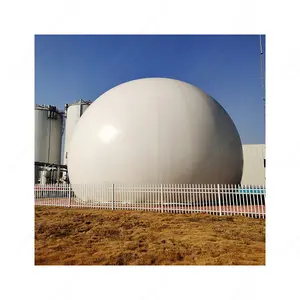 Gros anaérobie bio gaz lampe kit digesteur utiliser 80m3 usine biogaz purification c02 méthan