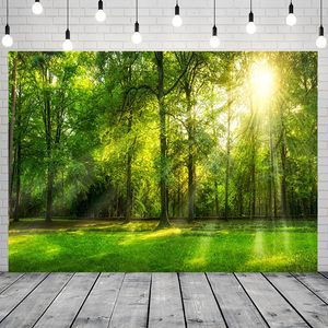 ทุ่งหญ้าป่าสีเขียวแสงแดดพื้นหลังสำหรับถ่ายภาพบุคคลและตกแต่งงานปาร์ตี้ - Product Image 1