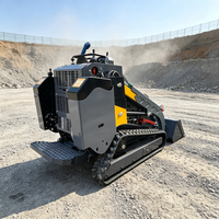 Professioneller Hydraulischer Kompaktlader mit Effizienter Materialhandhabung für Hofarbeiten