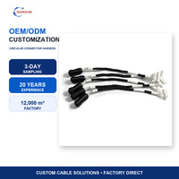 Kabel Harness Tahan Air yang Dapat Disesuaikan dengan Kabel Pembagi 4 Arah untuk LED Luar Ruangan & Otomasi Industri