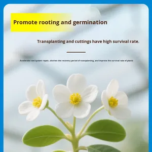 Commercio all'ingrosso Aishangke pianta <span class=keywords><strong>radicante</strong></span> Compost liquido piantina rinforzante soluzione nutritiva agente di giardinaggio fiore fertilizzante - Product Image 2