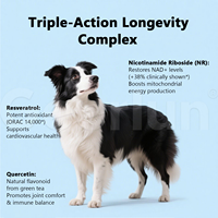 Complément alimentaire anti-âge pour chiens, marque personnalisée OEM, favorise la masse musculaire et la mobilité, comprimés à mâcher NAD+