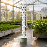 Système hydroponique de jardin en tour à 13 étages avec pompe à circulation d'eau automatique pour la culture de légumes et d'herbes à domicile