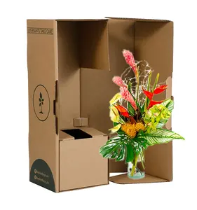 Custom foldable paper corrugated box plant packaging boxes for plants packaging and shipping