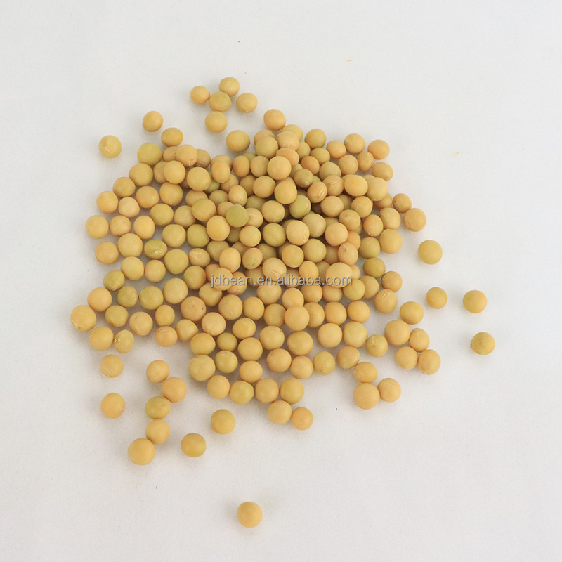 Nihewan High Protein Soyabean Dried Non