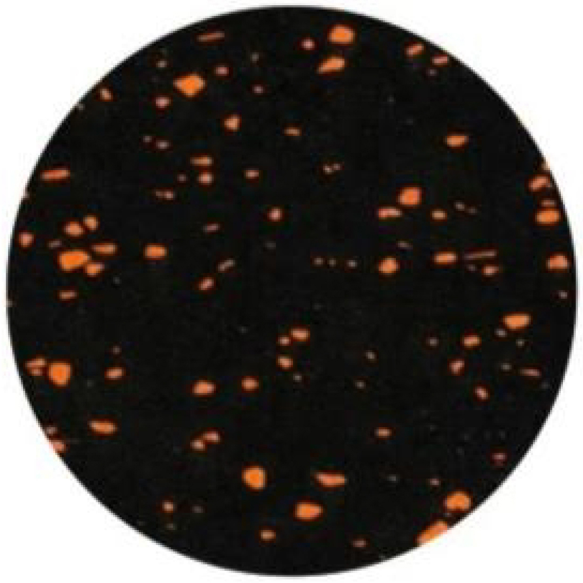 COMPOSITE-Orange Dot
