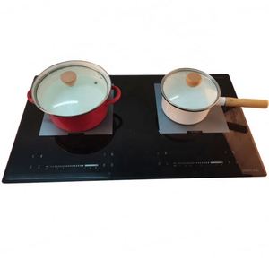 Placa de Inducción de Doble Cabezal con Diseño OEM LF, Integrada, Nuevo Modelo - Product Image 2