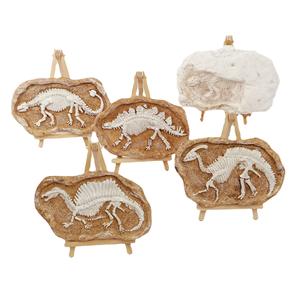 Kit de excavación de dinosaurios, juguete de excavación de fósiles, modelo de esqueleto de dinosaurio de plástico, aventura educativa para niños de 5 a 7 años - Product Image 1