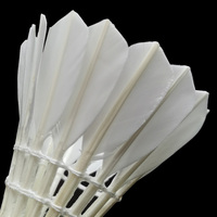Volants de badminton professionnels Huamei F3, plumes de canard de classe A, 12 pièces, durables, 2 couches, standard, pour compétition polyvalente