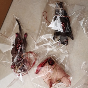 Halloween sống động như thật PVC khủng khiếp phân rã giả lợn BAT bên trang trí đồ chơi - Product Image 6