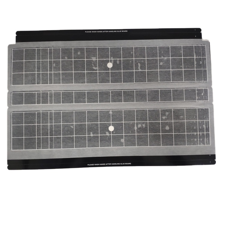 electric insect light