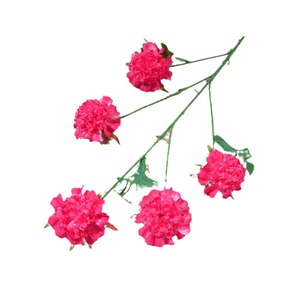 Bouquet de pivoines artificielles en soie à 5 têtes, fleurs de sol pour mariage, haute simulation, moulage par injection - Product Image 5