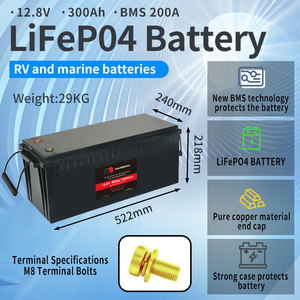 亚欧耐克磷酸铁锂电池组 12v 100AH 200AH 24v 100ah 200ah 300ah 460ah 48V 锂离子深循环电池组 - Product Image 2