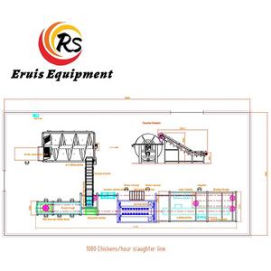 1000 BPH Aves de corral/Pollo/Pato/Codorniz/Pavo/Paloma/Pájaros Matadero - Product Image 4