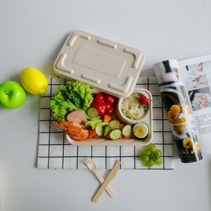 Bandeja Rectangular Grande Biodegradable y Compostable para Alimentos, Desechable, Resistente al Agua y al Aceite, para Carne, Papas Fritas, Pasteles, de Bagazo de Caña de Azúcar - Product Image 5