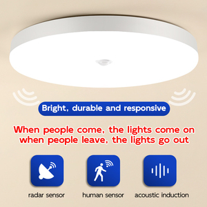 2025 nouveau LED plafonnier à induction <span class=keywords><strong>couloir</strong></span> radar corps humain <span class=keywords><strong>lumière</strong></span> à induction <span class=keywords><strong>automatique</strong></span> ingénierie intérieure <span class=keywords><strong>lumière</strong></span> à économie d'énergie - Product Image 2