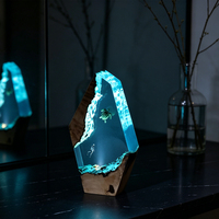 Lampe de table en bois et résine irrégulière, plongeur sous-marin, tortue marine, micro-paysage, base en bois USB, veilleuse décorative, cadeau