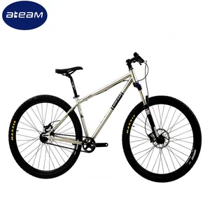 Marco de aluminio para bicicleta de montaña, suspensión doble, 29 pulgadas, barato, OEM, 2021