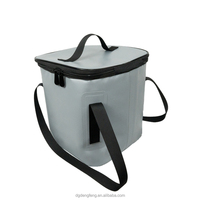 Fabrieksdirect 12.5L Moderne Geïsoleerde Lunchkoeltas voor Picknicks met Thermische Technologie, voor Wijn en Eten, Aangepaste Kleur