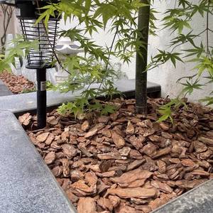 Paillis organique coloré pour l'aménagement paysager, le jardinage et les usages décoratifs, adapté pour la protection des arbres et le comblement des fosses. - Product Image 1