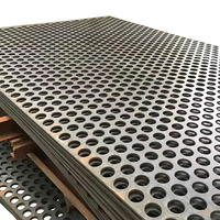 Grille de tamisage perforée à haute intensité vibratoire, utilisée pour la filtration et le criblage du sable et des pierres.