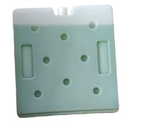Brique de refroidissement avancée en matériau à changement de phase (PCM) HDPE, réutilisable, de qualité alimentaire, plaque eutectique, écologique, recyclable, résistante à l'eau