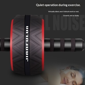 FDFIT Ruota Silenziosa in PVC Durevole per Palestra Domestica, Trainer Unisex per la Forza del Core, Design Antiscivolo e Resistente alla Pressione, Attrezzo <span class=keywords><strong>Fitness</strong></span> - Product Image 3