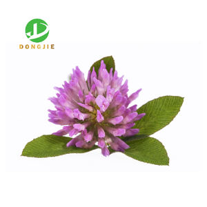 メーカーは、レッドクローバーエキスパウダー (比率: 10:1、30:1) とレッドクローバーエキスに総イソフラボン (8%-40%) を供給しています - Product Image 3